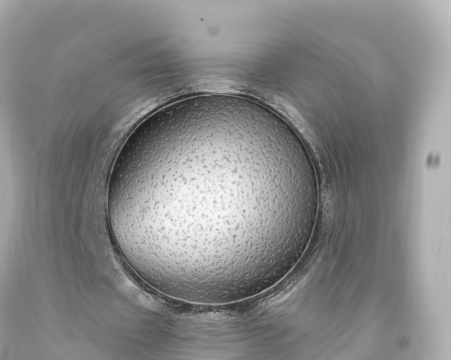 X0000094210433200711021119