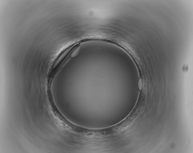 X0000094210434200711021119