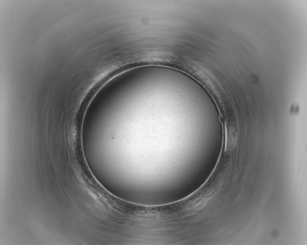 X0000094210435200711021119