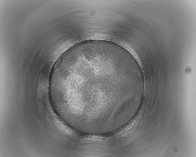 X0000094210437200711021119