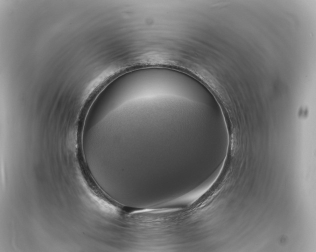 X0000094210438200711021119