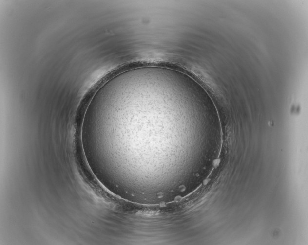 X0000094210440200711021119