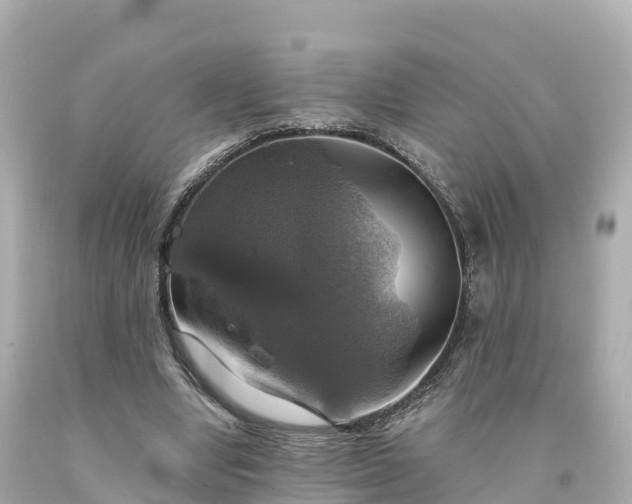 X0000094210442200711021119