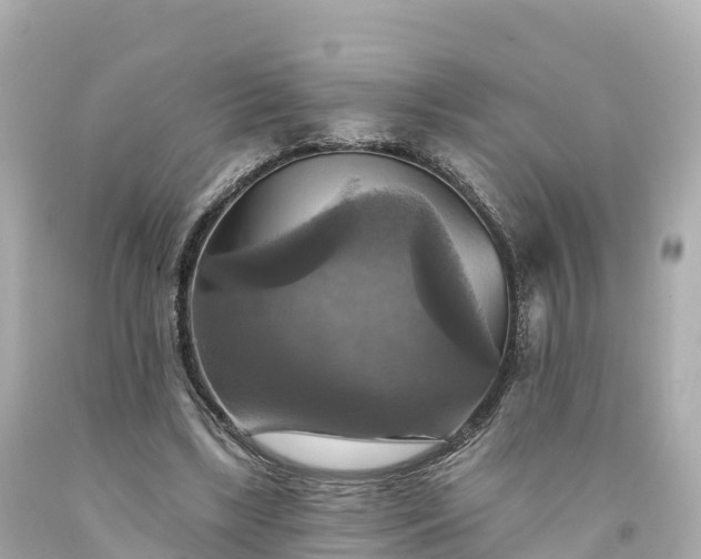 X0000094210443200711021119