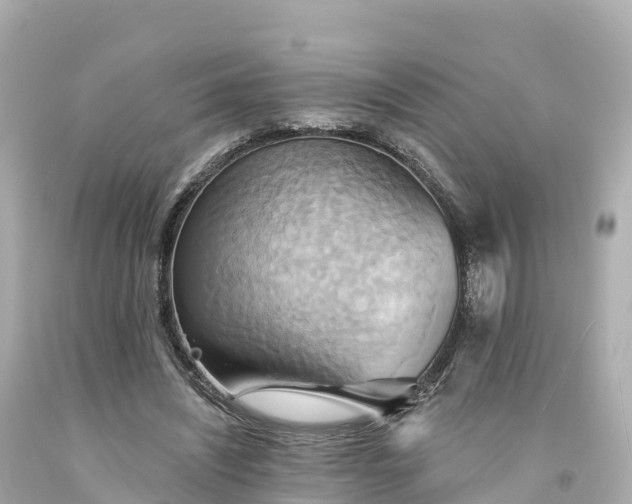 X0000094210444200711021119