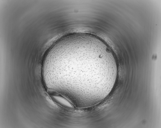 X0000094210445200711021119