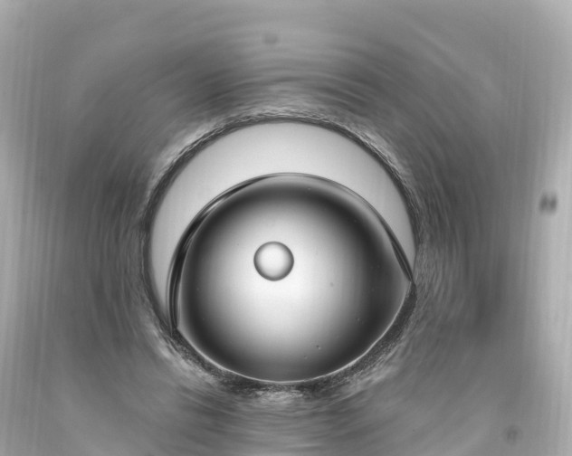 X0000094210446200711021119