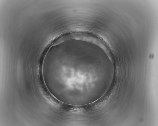 X0000094210447200711021119