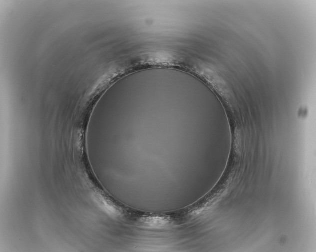 X0000094210449200711021119