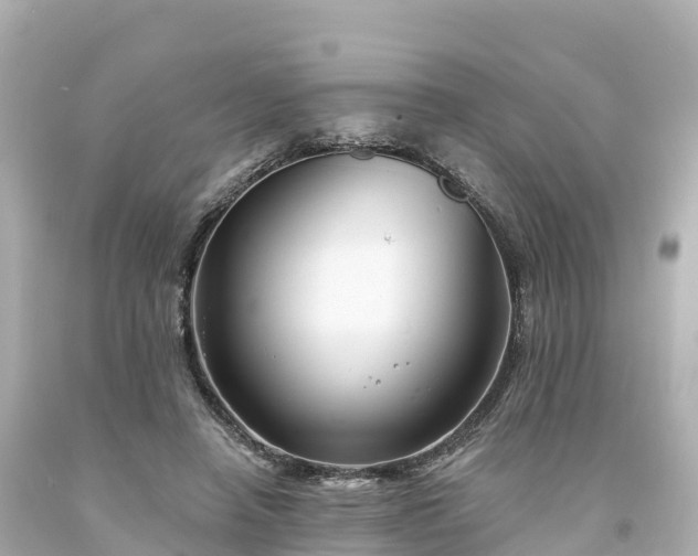 X0000094210450200711021119