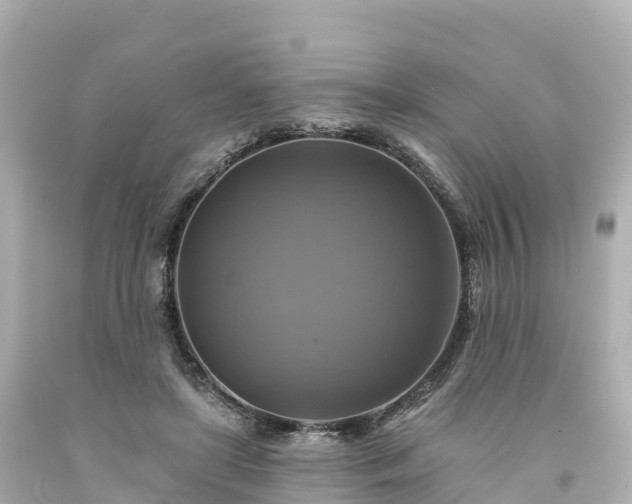X0000094210451200711021119