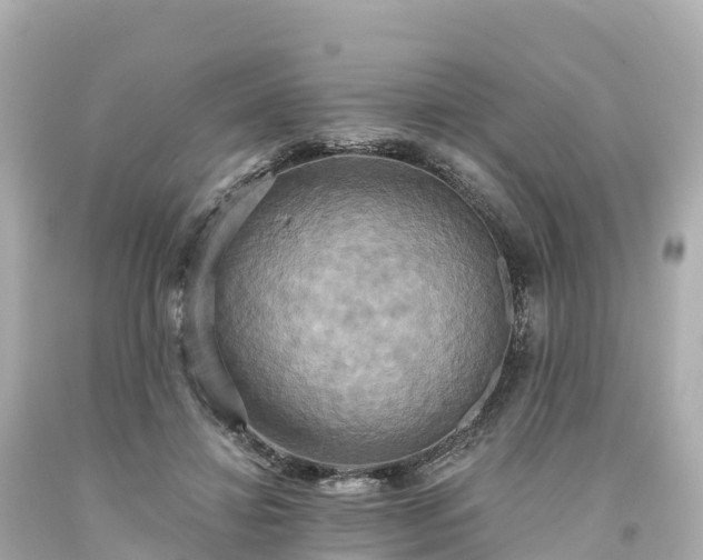 X0000094210452200711021119
