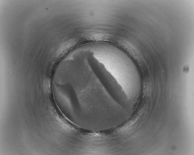 X0000094210453200711021119