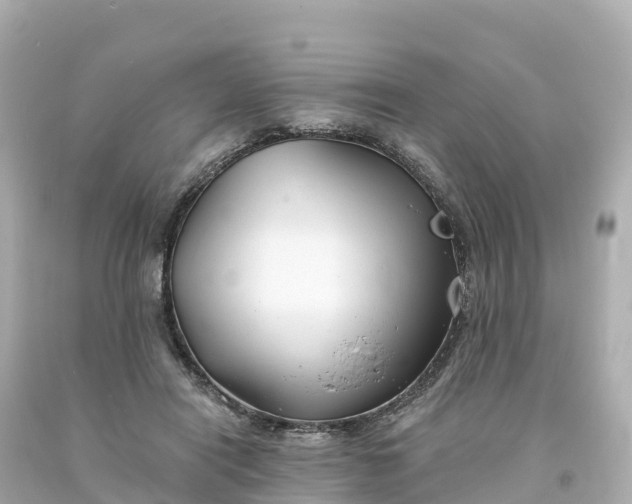 X0000094210454200711021119