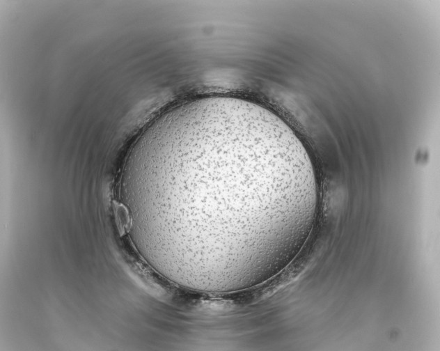 X0000094210455200711021119