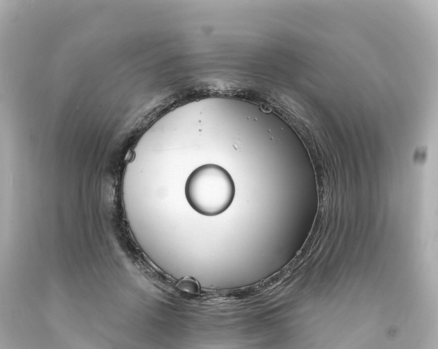 X0000094210456200711021119