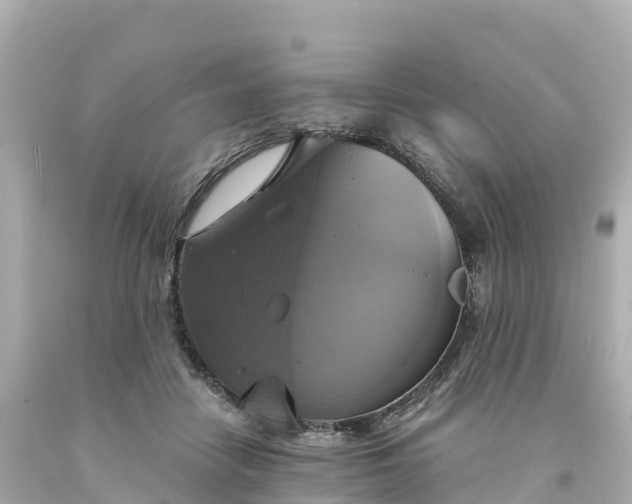 X0000094210458200711021119