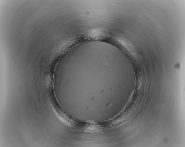 X0000094210459200711021119