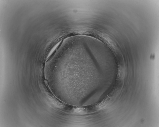 X0000094210461200711021119