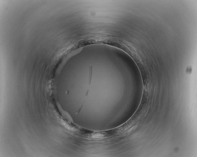 X0000094210462200711021119
