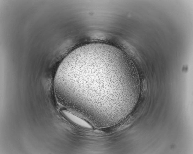X0000094210463200711021119
