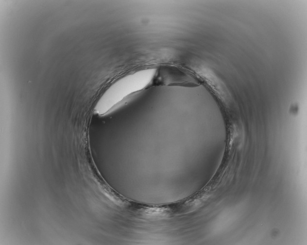 X0000094210465200711021119