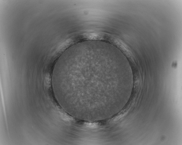 X0000094210469200711021119