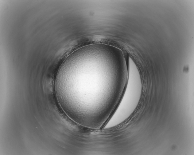X0000094210470200711021119