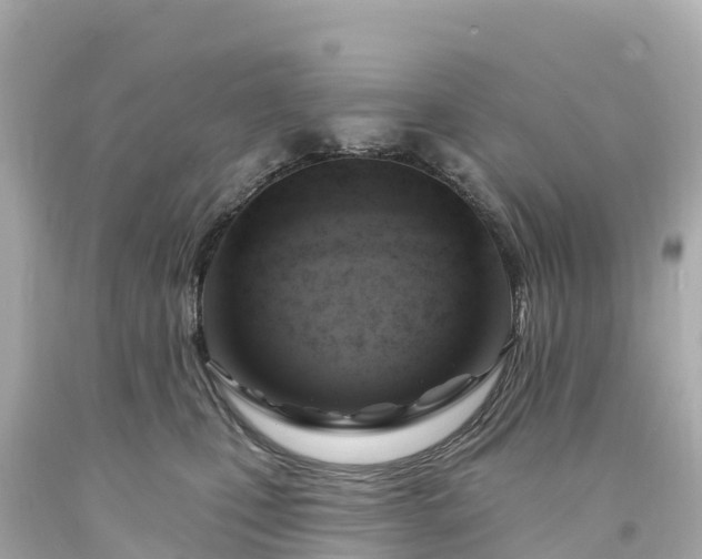 X0000094210471200711021119