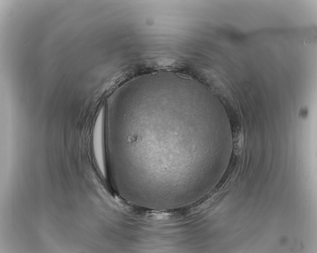 X0000094210472200711021119