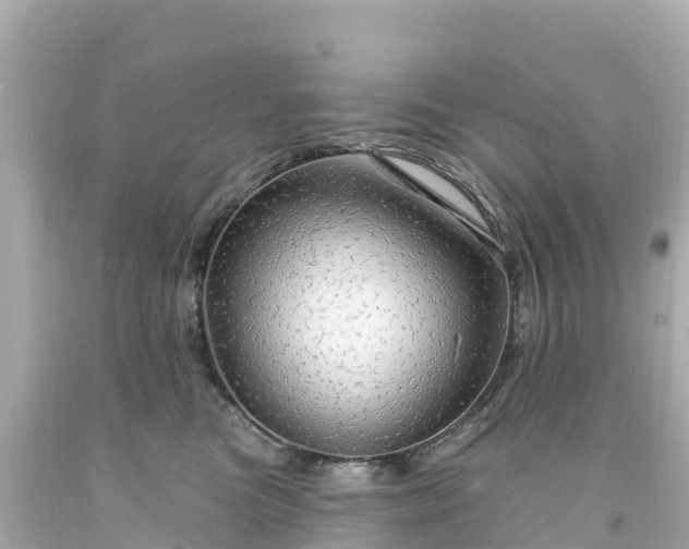 X0000094210473200711021119