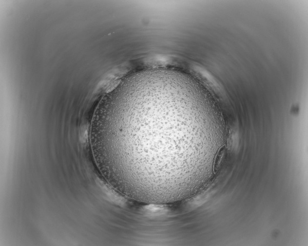 X0000094210477200711021119