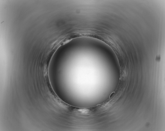 X0000094210478200711021119