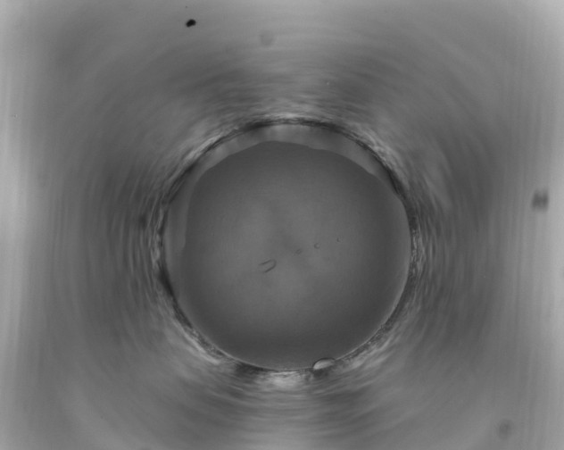 X0000094210479200711021119
