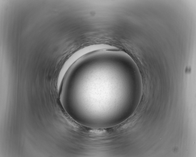 X0000094210480200711021120