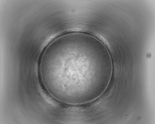 X0000094210482200711021119