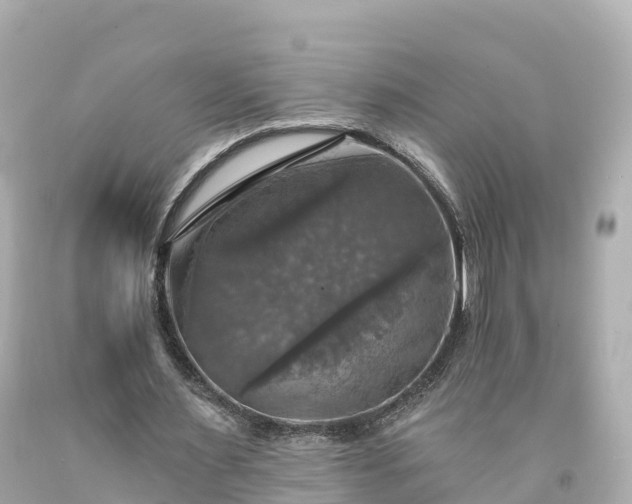 X0000094210483200711021119