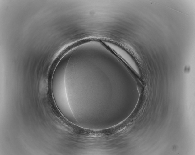 X0000094210484200711021119