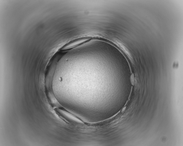 X0000094210485200711021119