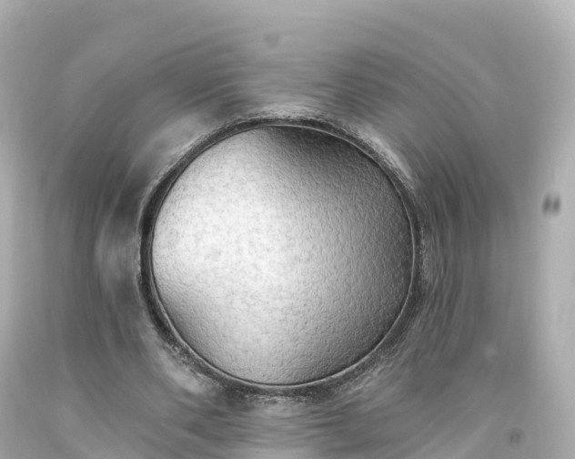 X0000094210486200711021119