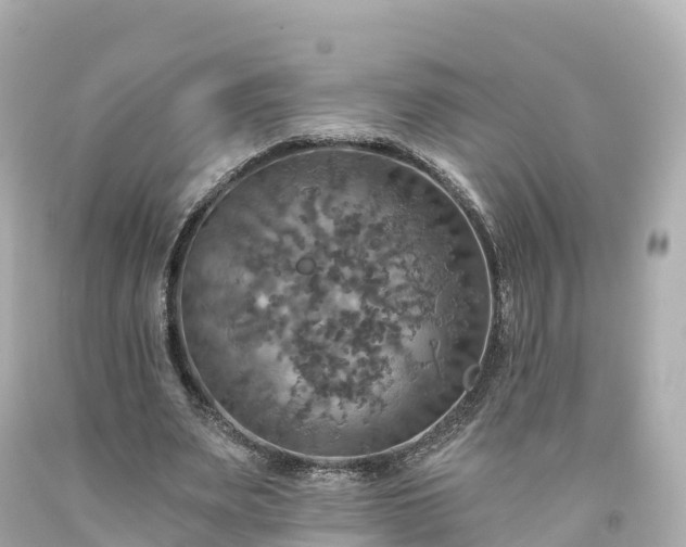 X0000094210487200711021119
