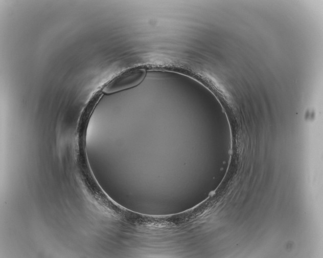 X0000094210488200711021119