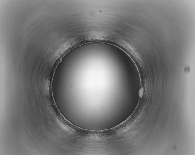 X0000094210489200711021119