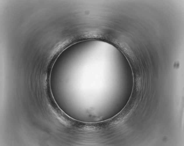 X0000094210490200711021119