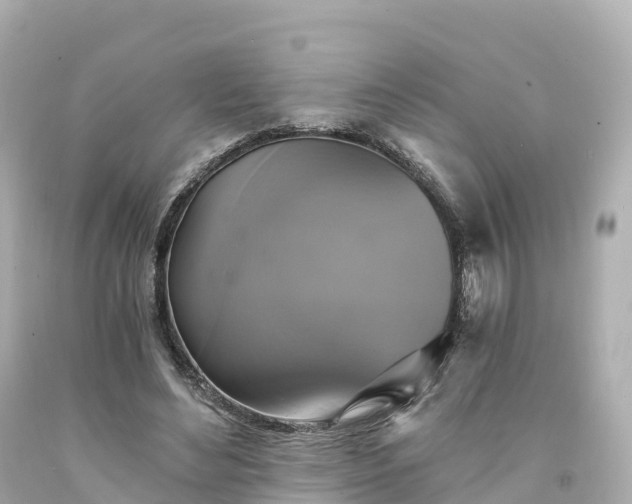 X0000094210492200711021119