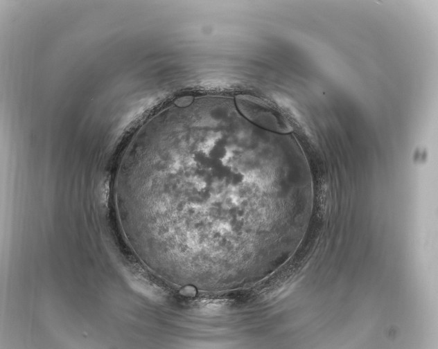 X0000094210495200711021119