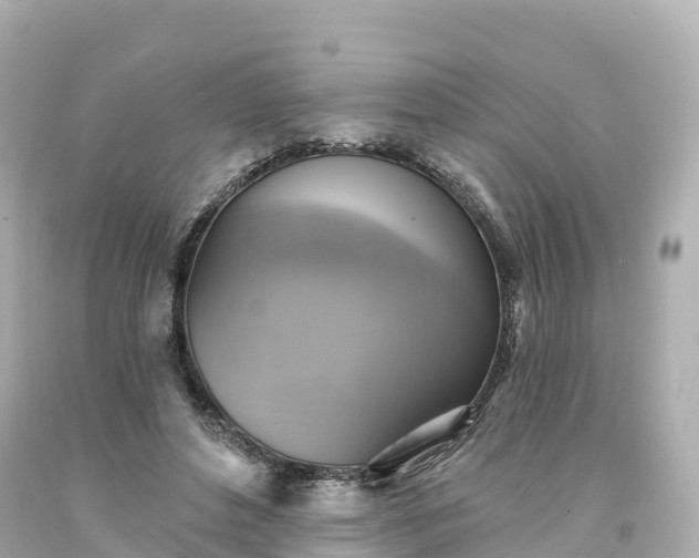 X0000094210496200711021119