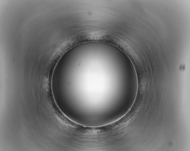 X0000094210497200711021119