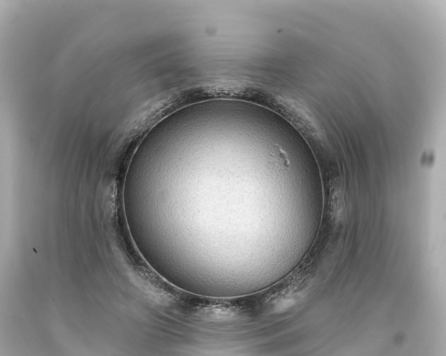 X0000094210498200711021119
