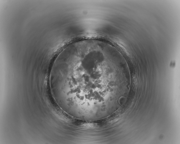 X0000094210499200711021119